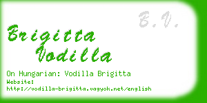 brigitta vodilla business card
